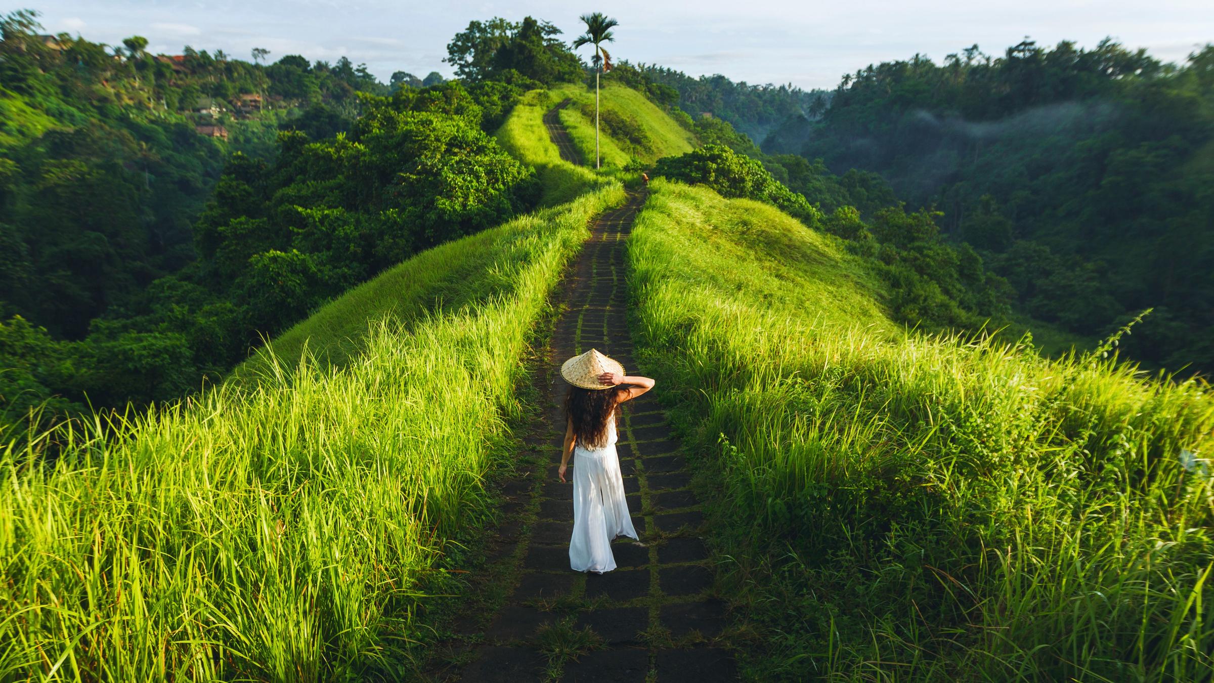 Campuhan Ridge Walk, Tegalalang Rice Terrace, dan Tegenungan Waterfall